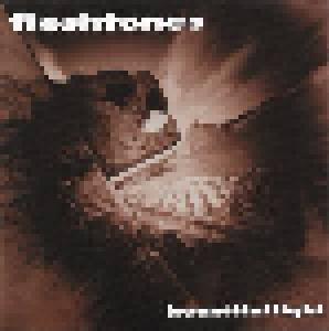 The Fleshtones: Beautiful Light - Cover