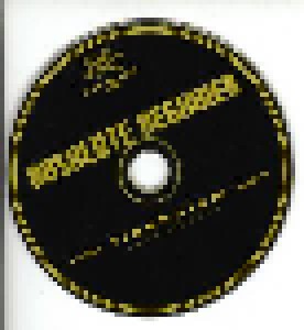 Absolute Beginner: Flashnizm (CD) - Bild 3