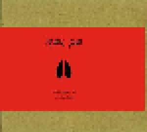 Pearl Jam: Landgraaf 6/18/2022 - Cover