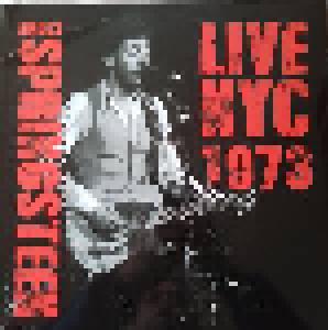 Bruce Springsteen: Live Nyc 1973 - Cover