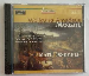 Wolfgang Amadeus Mozart: Amati Ensemble - Cover