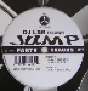 DJ LBR: Jump - Cover