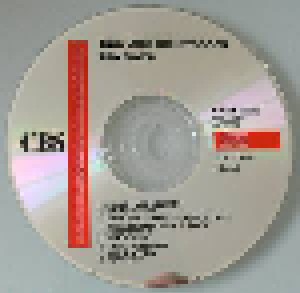 Iggy & The Stooges: Raw Power (CD) - Bild 2