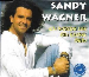Sandy Wagner: Ich Werde Nie Ein Engel Sein - Cover