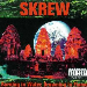 Skrew: Burning In Water, Drowning In Flame (CD) - Bild 1