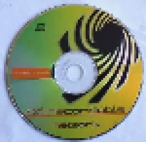Blasphemer: Promo 2002 (Promo-CD) - Bild 3