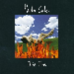Paula Cole: This Fire (HDCD) - Bild 1