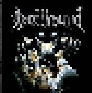 Spellbound: Incoming Destiny - Cover