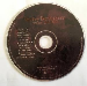 Lindsey Buckingham: Under The Skin (CD) - Bild 3
