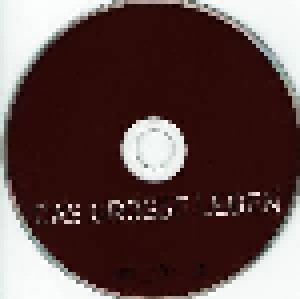 Rosenstolz: Das Grosse Leben (CD + DVD) - Bild 5