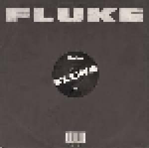 Fluke: Pulse - Cover