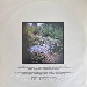 Arbouretum: Song Of The Pearl (LP) - Bild 6
