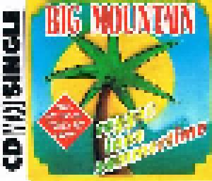 Big Mountain: Reggae Inna Summertime - Cover