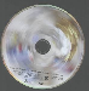 Einstürzende Neubauten: Perpetuum Mobile (CD + DVD) - Bild 3