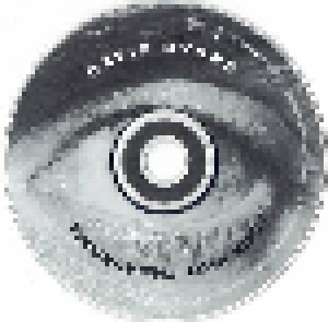 David Byrne: Look Into The Eyeball (CD) - Bild 3