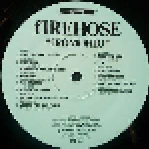 fIREHOSE: fROMOHIO (LP) - Bild 3