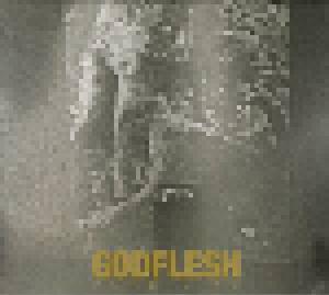 Godflesh: Pure : Live - Cover