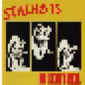 Stalag 13: In Control (LP) - Bild 1