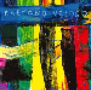 Caetano Veloso: Livro - Cover