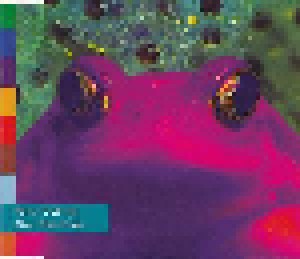 Peter Gabriel: Kiss That Frog (Single-CD) - Bild 1