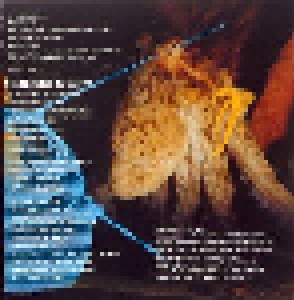 Ween: The Mollusk (CD) - Bild 4