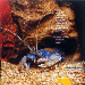 Ween: The Mollusk (CD) - Bild 6
