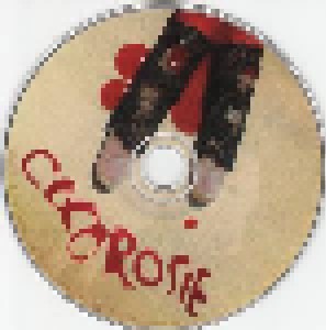 CocoRosie: The Adventures Of Ghosthorse And Stillborn (CD) - Bild 3