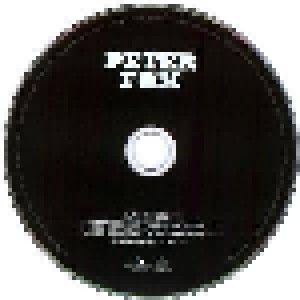 Peter Fox: Haus Am See (Single-CD) - Bild 3