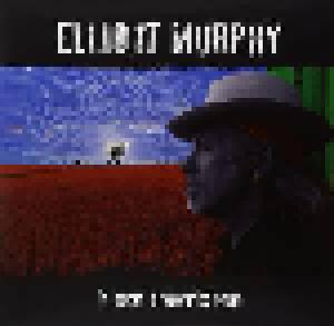 Elliott Murphy: It Takes A Worried Man - Cover