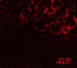 OSI: Blood (Promo-CD) - Bild 1