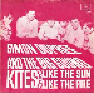 Simon Dupree & The Big Sound: Kites - Cover