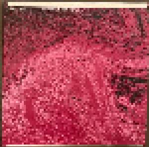 David Toop: Pink Spirit, Noir World - Cover