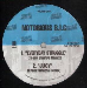 Lil' Kim, The Notorious B.I.G.: Shut Up Bitch / Everyday Struggle (Remix) - Cover