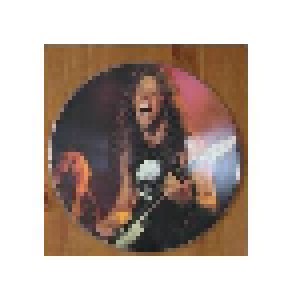 Metallica: Molten Rock (2-PIC-LP) - Bild 2