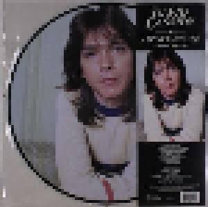 David Cassidy: I Think I Love You Greatest Hits Live - Cover