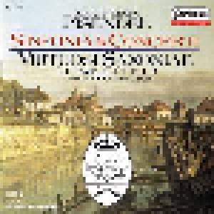 Johann Georg Pisendel, Georg Philipp Telemann: Sinfonia & Concerti - Cover