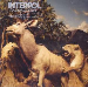 Interpol: Our Love To Admire - Cover