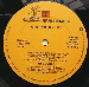 Ry Cooder: Chicken Skin Music (LP) - Bild 4