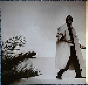 Stevie Wonder: In Square Circle (LP) - Bild 3