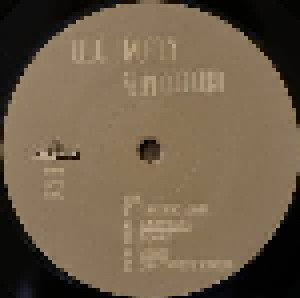 Elliott Murphy: Notes From The Underground (LP + 7") - Bild 6