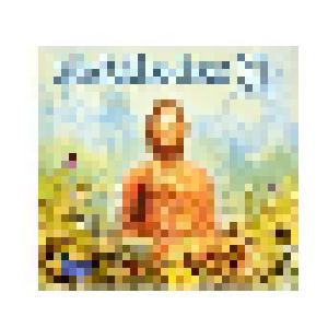 Buddha-Bar XI - Cover