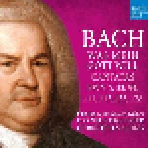 Johann Sebastian Bach: Was Mein Gott Will - Cantatas BWV 5, 33, 94, 111, 113, 135, 178 - Cover