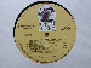 Robby Krieger: Versions (LP) - Bild 3