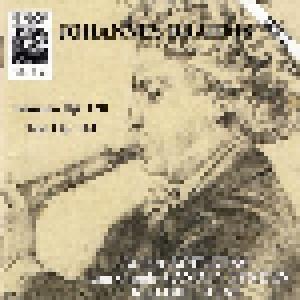 Johannes Brahms: Sonaten Op. 120 / Trio Op. 114 - Cover