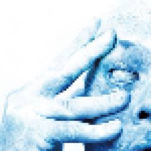 Porcupine Tree: In Absentia (2-LP) - Bild 1