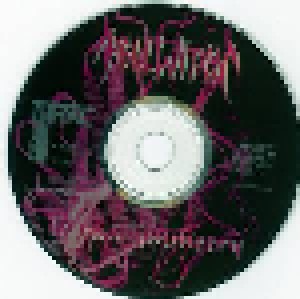 Hellwitch: Terraasymmetry (Mini-CD / EP) - Bild 3
