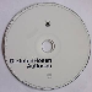 Die Toten Hosen: Auflösen (Single-CD) - Bild 3