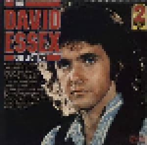 David Essex: The David Essex Collection (2-LP) - Bild 1