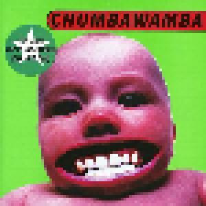 Chumbawamba: Tubthumper - Cover