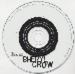 Sheryl Crow: Sheryl Crow (CD) - Bild 5